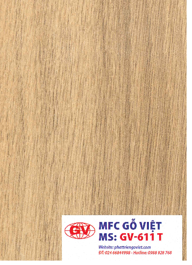 611 T